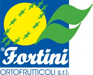 Fortini - Italia