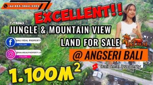 TANAH MURAH JUAL di TABANAN BALI 11 Are View Hutan dan Gunung