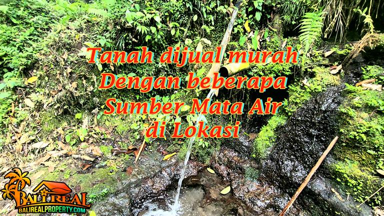 JUAL TANAH DI TABANAN BALI TJTB894